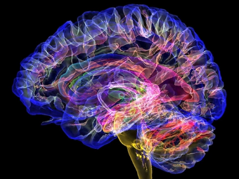 色图逼逼大脑植入物有助于严重头部损伤恢复